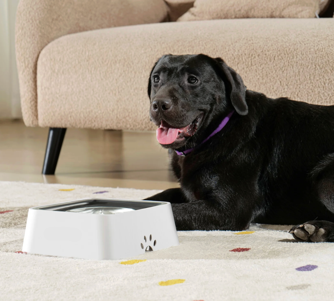 Hygienisk Anti-Spill Hundskål