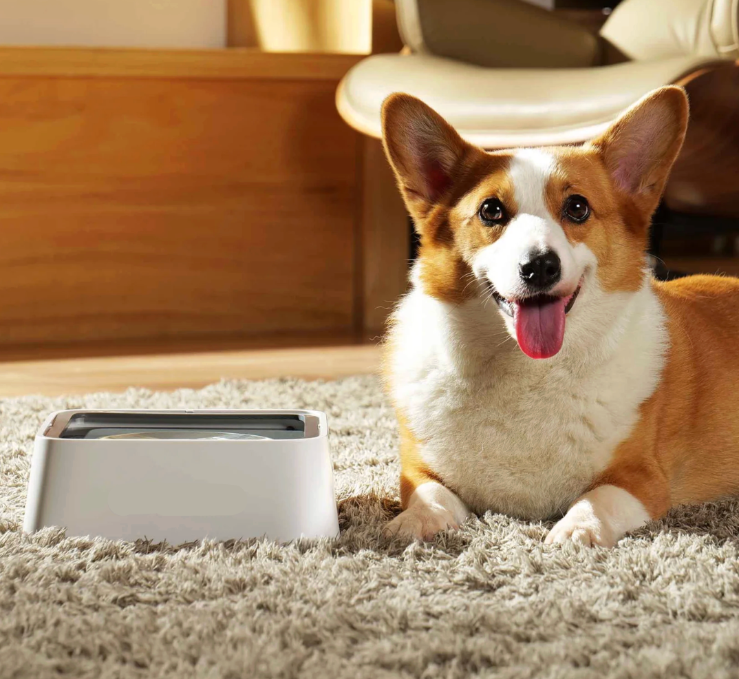 Hygienisk Anti-Spill Hundskål